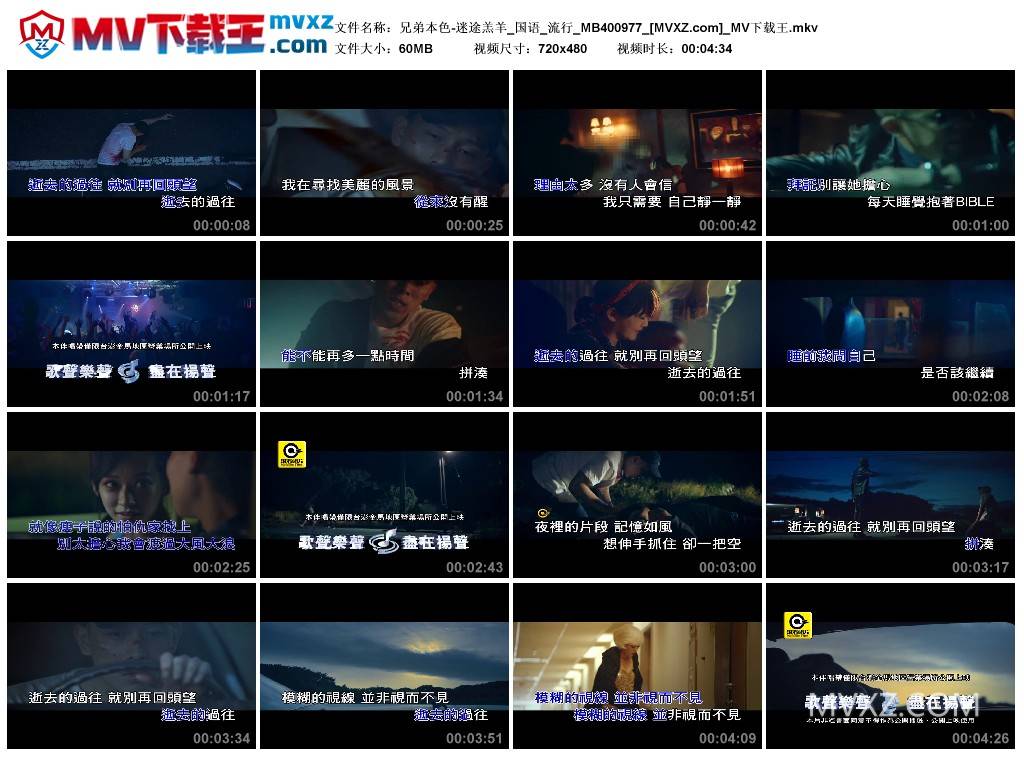 兄弟本色-迷途羔羊_国语_流行_MB400977